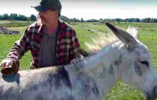 Farmer Turns Cattle Ranch Into Animal Sanctuary