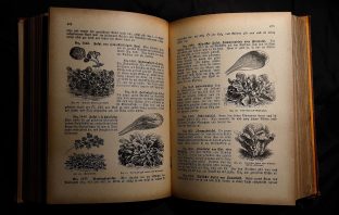 Forager Cookbook Recalled; Recipes Could Kill You