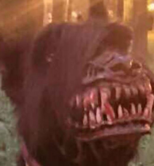 Man Runs Upon Werewolf In The Woods