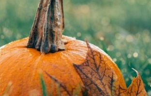 The Newest Addition To The Pumpkin Spice Craze Is–SPAM?