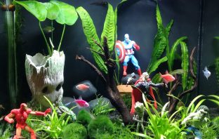 The Coolest Nerdy Animal Habitats Built By Pet Owners