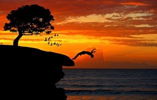 An Open Letter to the Person Scared to Take the Plunge