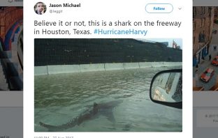 Fake News Or Nah? Here’s How To Fact Check Those Viral News Photos.