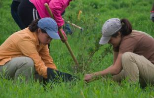 Amazon Rainforest To Receive 73 Million New Trees in Reforestation Effort