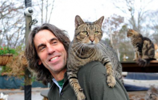 Man Turns Home Into Haven for 300 Stray Cats