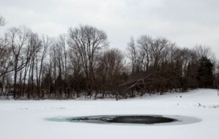 Man Saves Mother and Dog After Falling Into Icy Pond