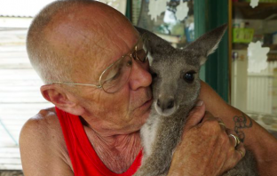 Couple Turned Home Into Baby Kangaroo Rehab Center