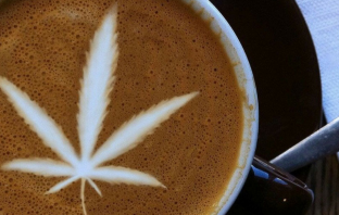 Company Offers More Buzz To Your Morning Coffee