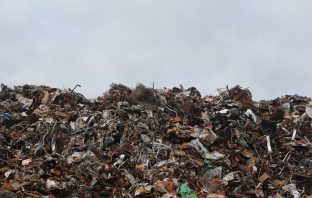 Transforming Food Waste Into Fuel