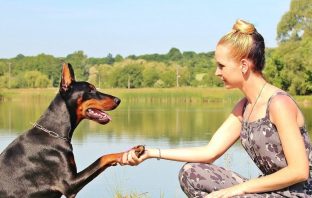 Studies Show People Who Talk To Their Pets Are Highly Intelligent