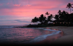 Five Reasons You Should Visit The Beach