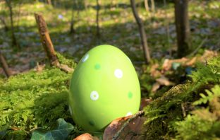 Is Duckweed the Perfect Egg Substitute for Vegans?
