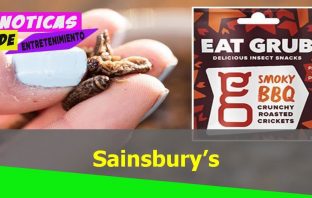 Insect Lovers Rejoice—Now You Can Get Your Fix Any Time You Need