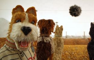 People Who Have Dogs Have A Breed That Matches Their Personality