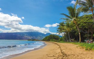 A Flavor Trip Through Hawaii