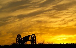 Civil War Plant Remedies Stand The Test of Time