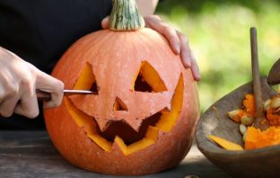 Picking Out The Perfect Carving Pumpkin
