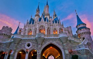 Ever Wondered Why Disney World Has No Mosquitoes?
