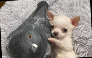 The Most Unlikely Of Friendships