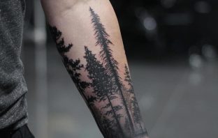 Proper Care Of A Tattoo Is Vital