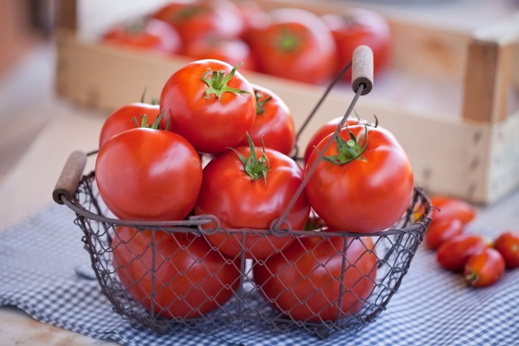 Should You Refrigerate Tomatoes—The AgeOld Debate