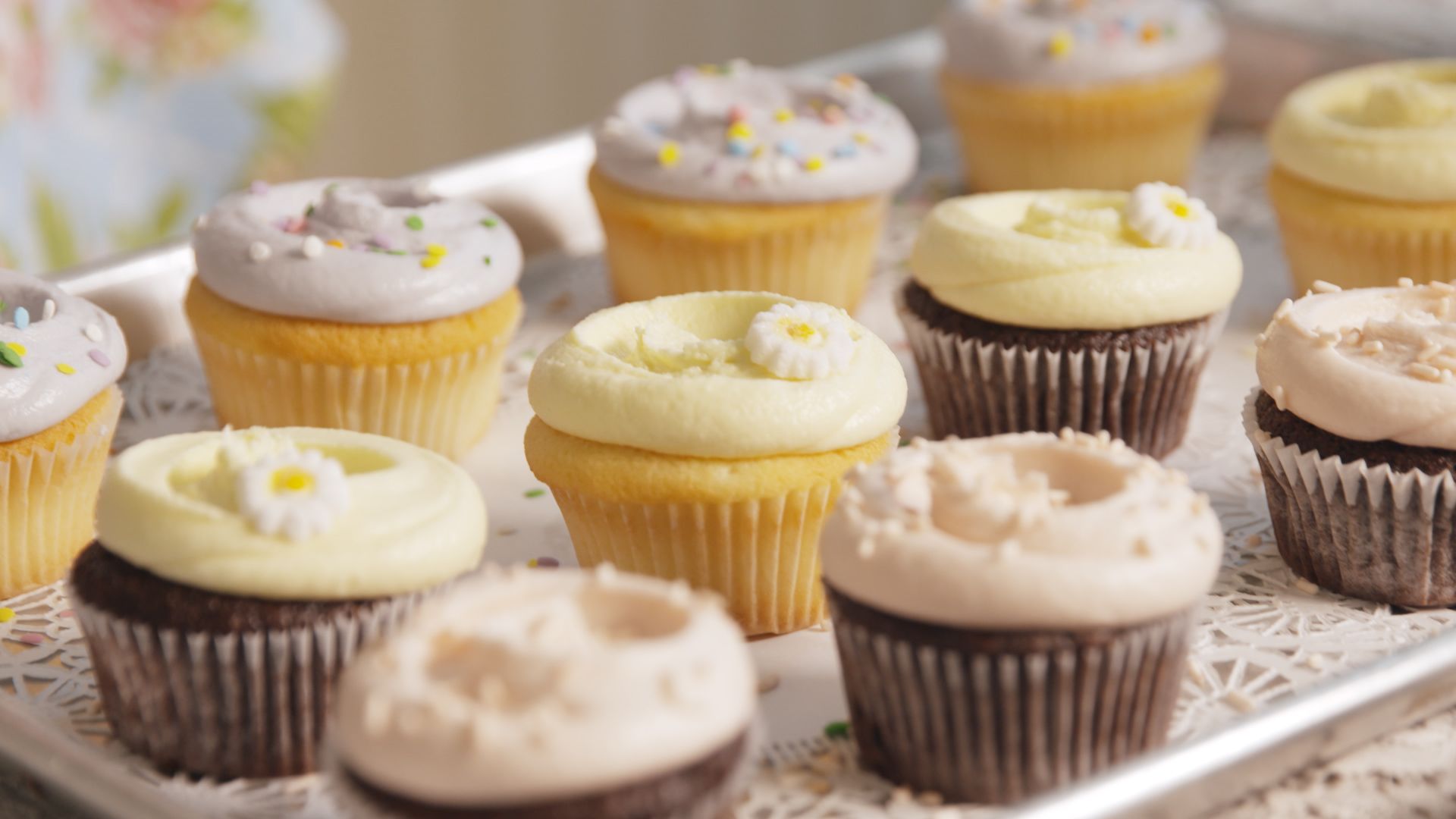 cupcake baker icing cupcake baker icing