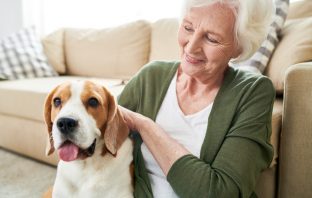 Nonprofit Puts Pets Needing Homes Into The Hands Of Seniors
