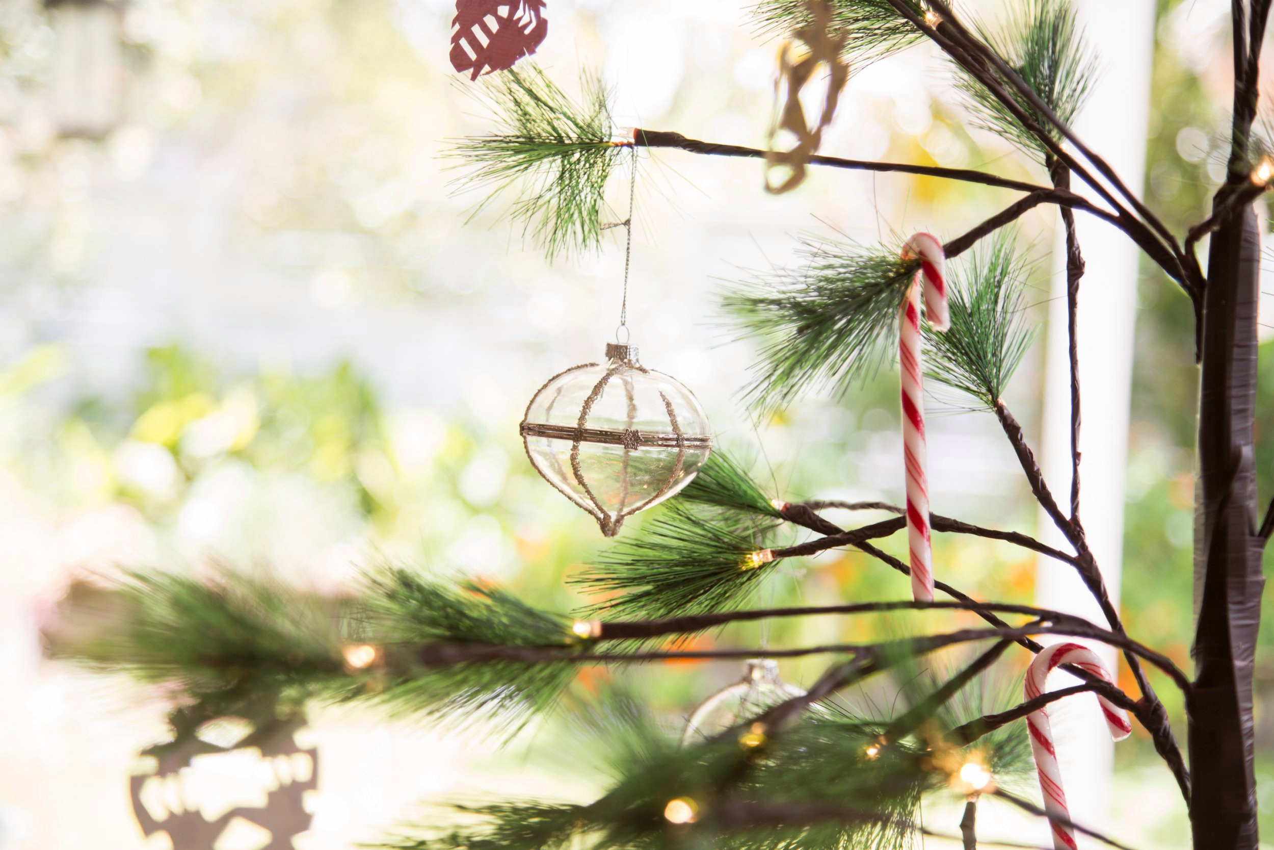 When Should You Take Down Your Christmas Tree?