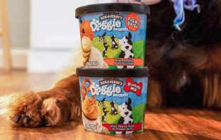Ben & Jerry’s Is Going To The Dogs