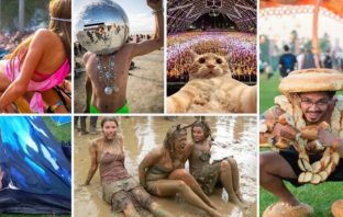 Have You Been To A Music Festival Lately?