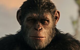 The Apes Will Rise Again!