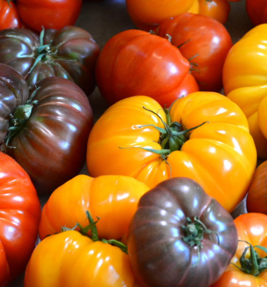Some Say Tomatoes Cause Inflammation, But It May Not Be Accurate