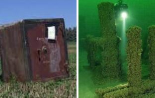 Bizarre Discoveries Found In Really Weird Places
