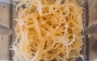 Sea Moss: Benefits and Uses from the Ocean to Your Plate